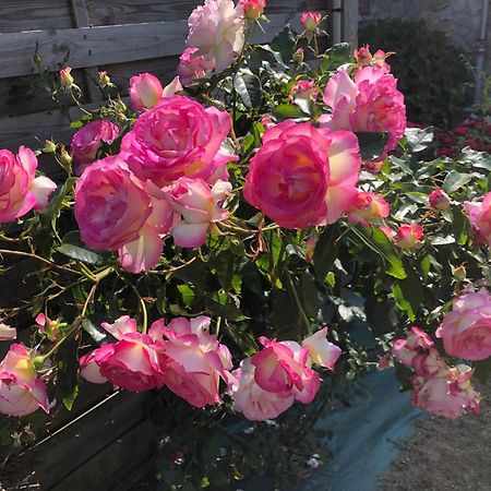 Les Hortensias Grand-Fougeray Exteriör bild